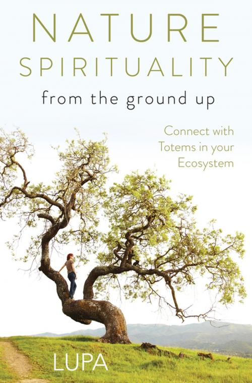 Cover of the book Nature Spirituality From the Ground Up by Lupa, Llewellyn Worldwide, LTD.