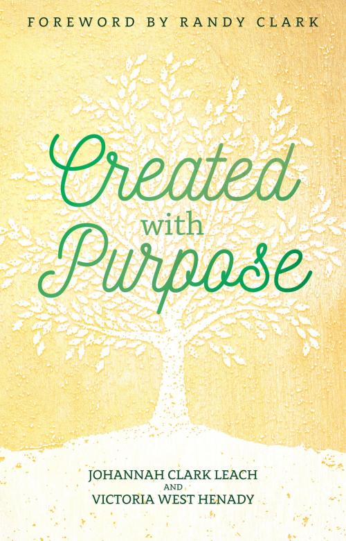 Cover of the book Created with Purpose by Johannah Clark Leach, Victoria West Henady, Destiny Image, Inc.