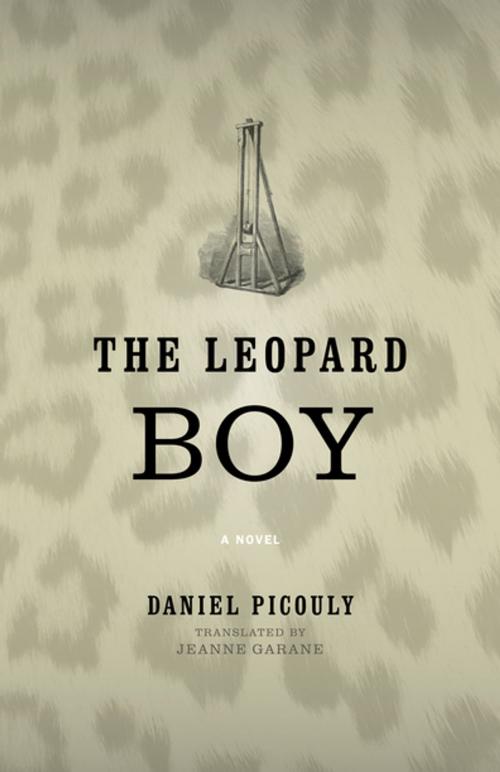 Cover of the book The Leopard Boy by Daniel Picouly, Jeanne Garane, University of Virginia Press