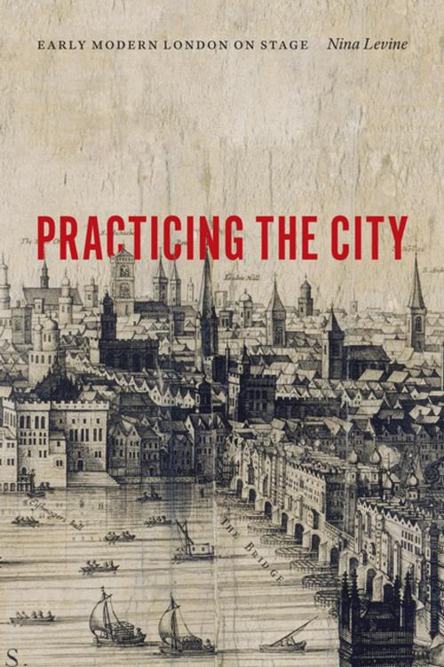 Cover of the book Practicing the City by Nina Levine, Fordham University Press