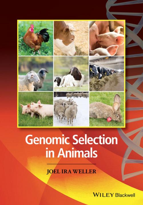 Cover of the book Genomic Selection in Animals by Joel Weller, Wiley