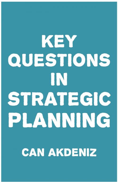 Cover of the book Key Questions in Strategic Planning by Can Akdeniz, IntroBooks