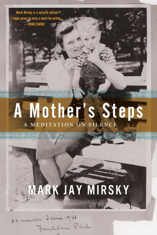 Cover of the book A Mother's Steps: A Meditation on Silence by Mark Jay Mirsky, Mark Jay Mirsky