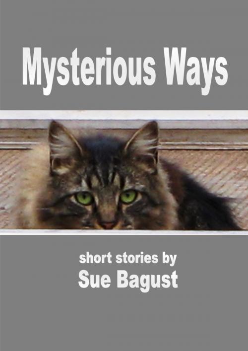 Cover of the book Mysterious Ways by Sue Bagust, Sue Bagust