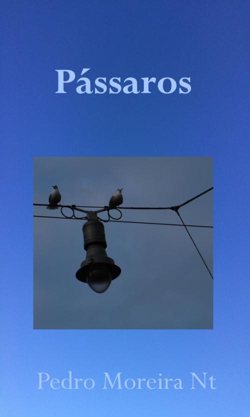 Cover of the book Pássaros by Pedro Moreira Nt, Pedro Moreira Nt