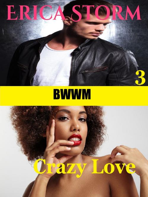 Cover of the book Crazy Love (Part 3) by Erica Storm, Erica Storm