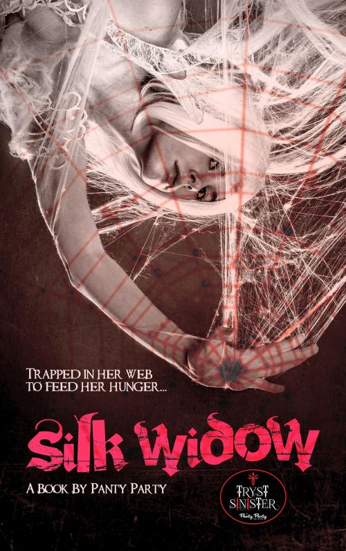 Cover of the book Silk Widow by Panty Party, Panty Party