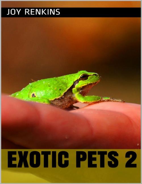 Cover of the book Exotic Pets 2 by Joy Renkins, Lulu.com