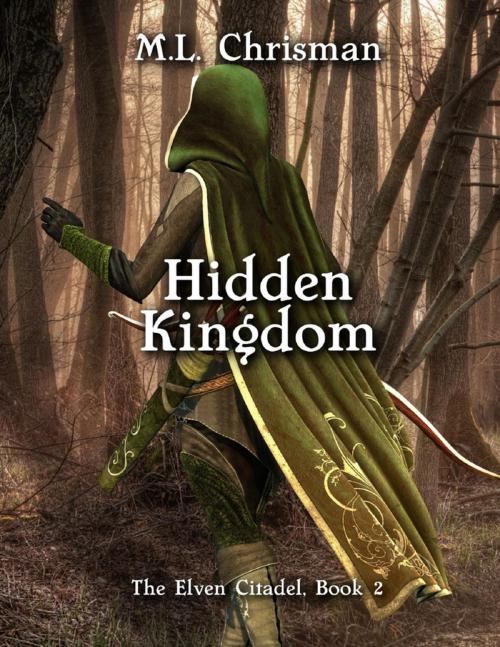 Cover of the book Hidden Kingdom: The Elven Citadel, Book 2 by M.L. Chrisman, Lulu.com