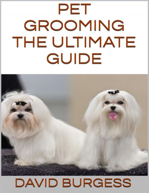 Cover of the book Pet Grooming: The Ultimate Guide by David Burgess, Lulu.com