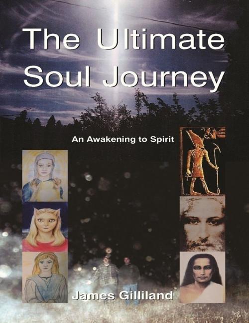 Cover of the book The Ultimate Soul Journey by James Gilliland, Lulu.com