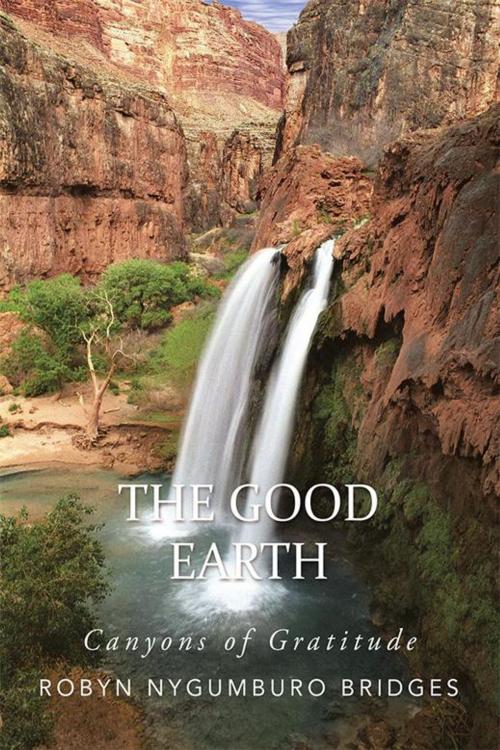 Cover of the book The Good Earth by Robyn Nygumburo Bridges, Balboa Press