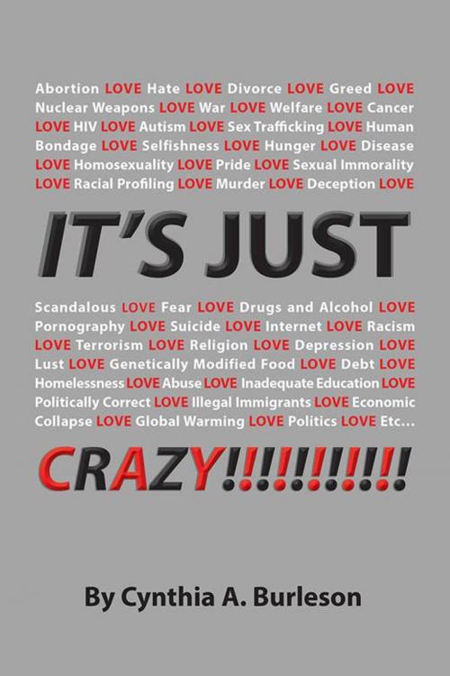 Cover of the book It's Just Crazy! by Cynthia A. Burleson, WestBow Press