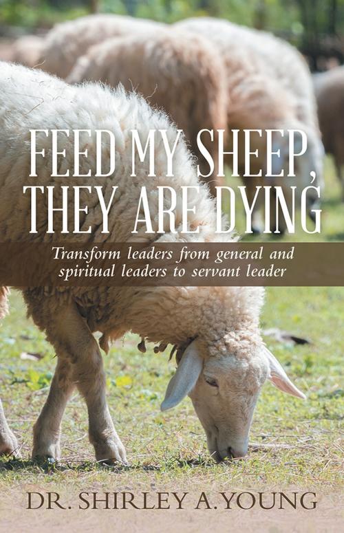 Cover of the book Feed My Sheep, They Are Dying by Dr. Shirley A. Young, WestBow Press