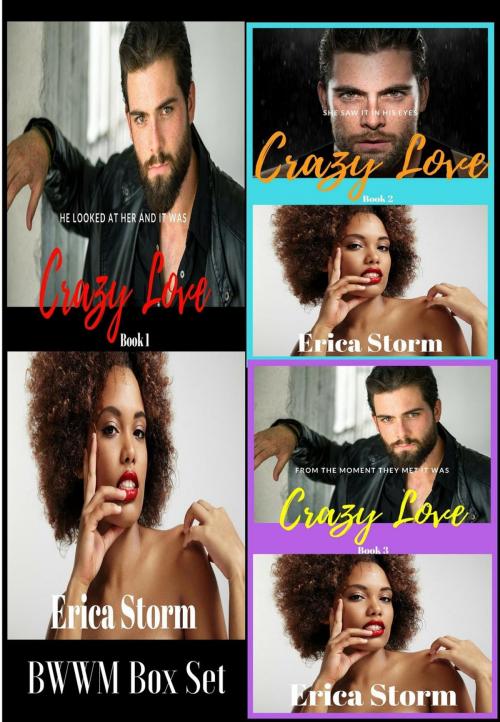 Cover of the book Crazy Love Box Set by Erica Storm, Erica Storm