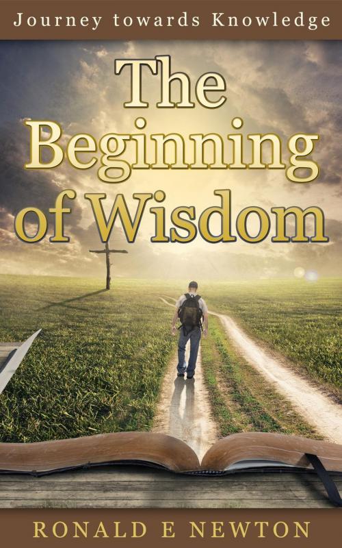 Cover of the book The Beginning of Wisdom by Ronald E. Newton, Low Cost Internet Biz LLC