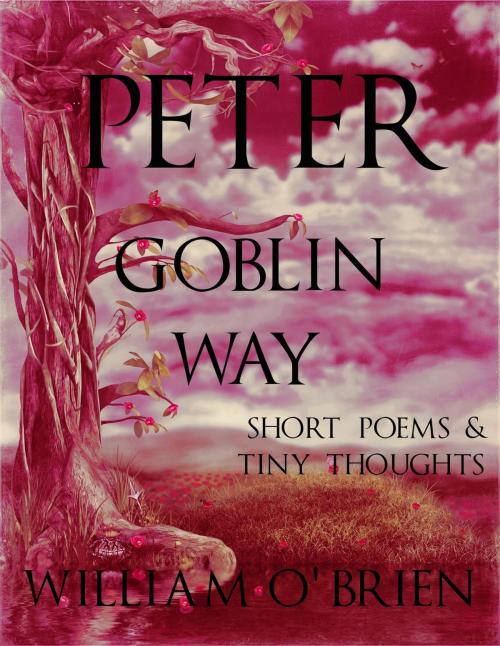 Cover of the book Peter - Goblin Way: Short Poems & Tiny Thoughts by William O'Brien, William O'Brien