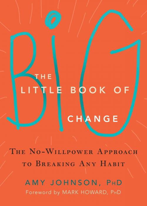 Cover of the book The Little Book of Big Change by Amy Johnson, PhD, New Harbinger Publications