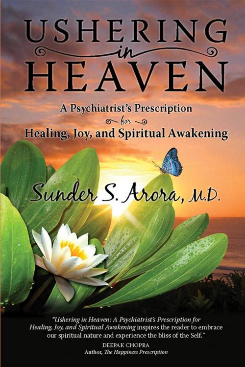 Cover of the book Ushering in Heaven by M.D. Sunder S Arora, Burnstown Publishing House