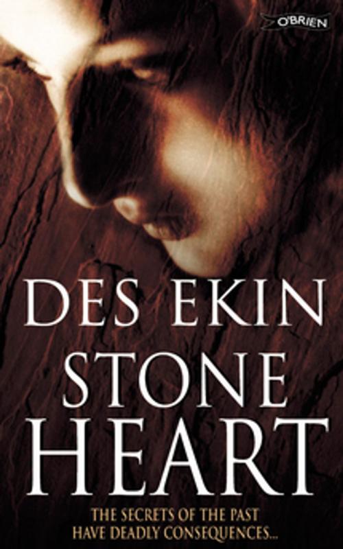 Cover of the book Stone Heart by Des Ekin, The O'Brien Press