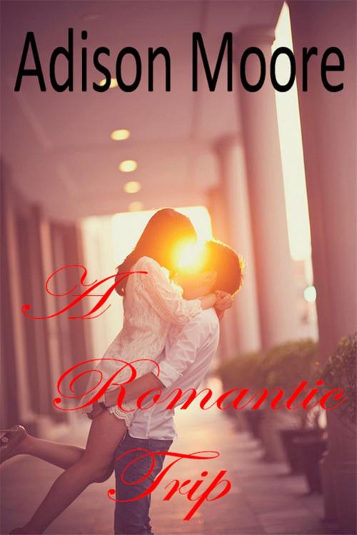 Cover of the book A Romantic Trip by Adison Moore, Grand Publishing