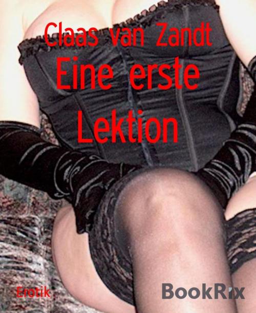 Cover of the book Eine erste Lektion by Claas van Zandt, BookRix
