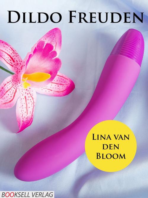 Cover of the book Dildo Freuden by Lina van den Bloom, Booksell-Verlag