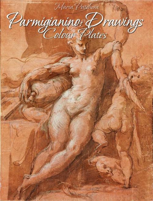 Cover of the book Parmigianino: Drawings Colour Plates by Maria Peitcheva, Maria Peitcheva