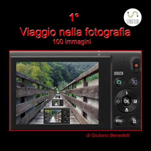 Cover of the book 1° Viaggio nella Fotografia by Giuliano Benedetti, Giuliano  Benedetti