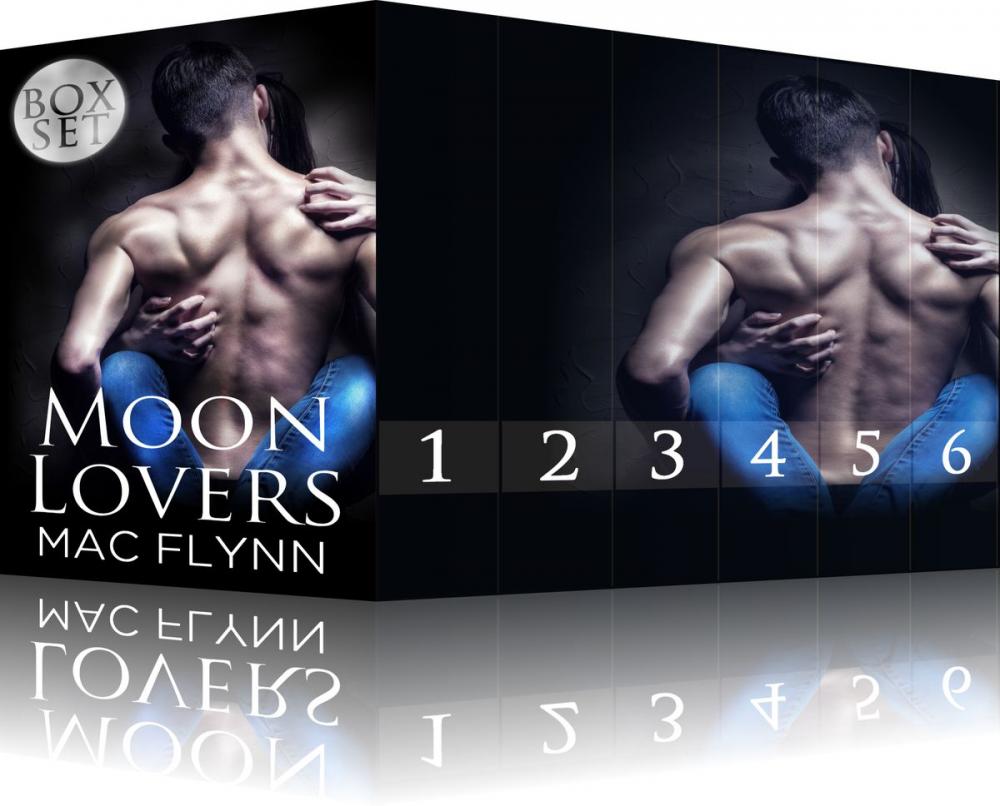 Big bigCover of Moon Lovers Box Set