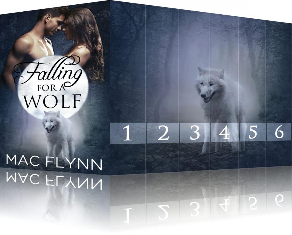 Big bigCover of Falling For A Wolf Box Set