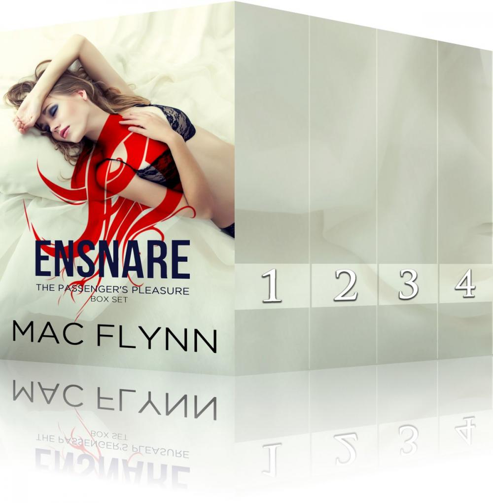 Big bigCover of Ensnare: The Passenger’s Pleasure Box Set