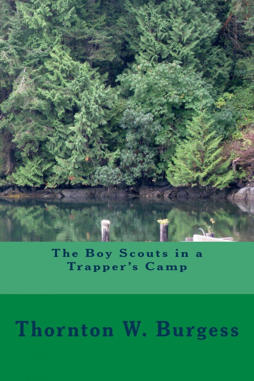 Big bigCover of The Boy Scouts in a Trapper's Camp (Illustrated Edition)