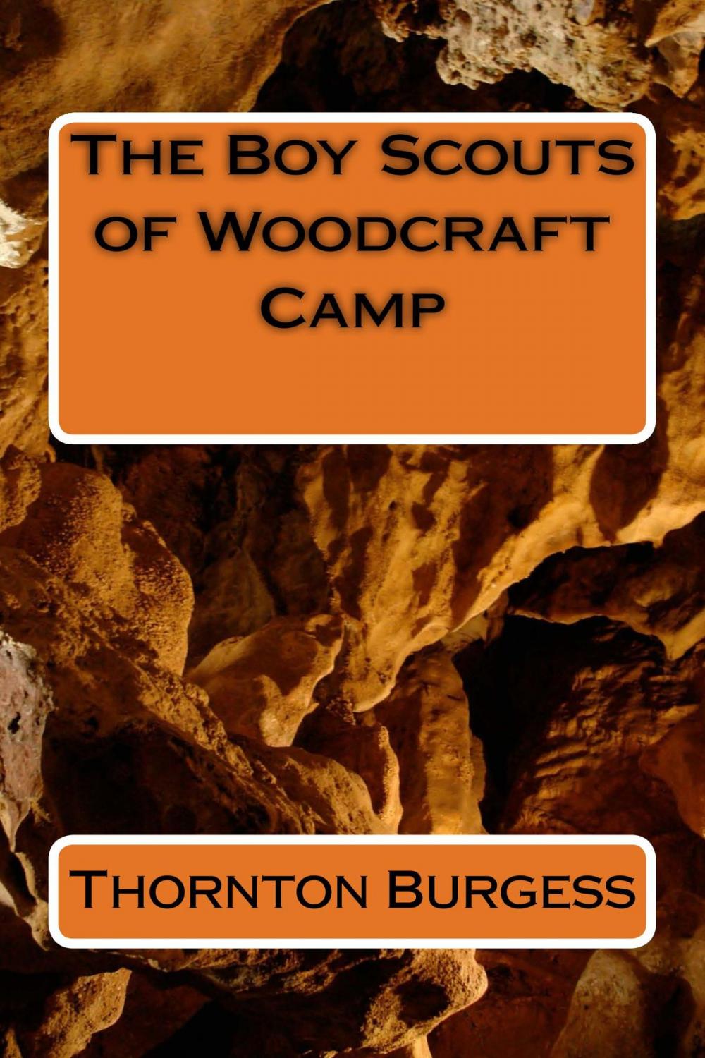 Big bigCover of The Boy Scouts of Woodcraft Camp (Illustrated)