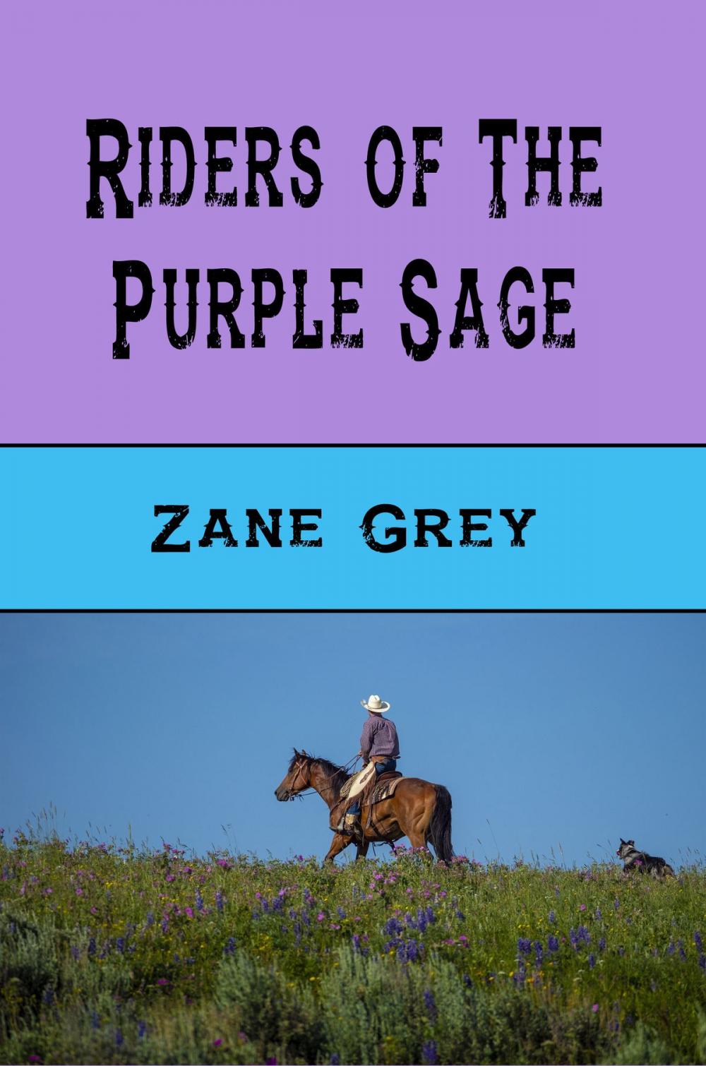 Big bigCover of Riders of the Purple Sage (Illustrated)