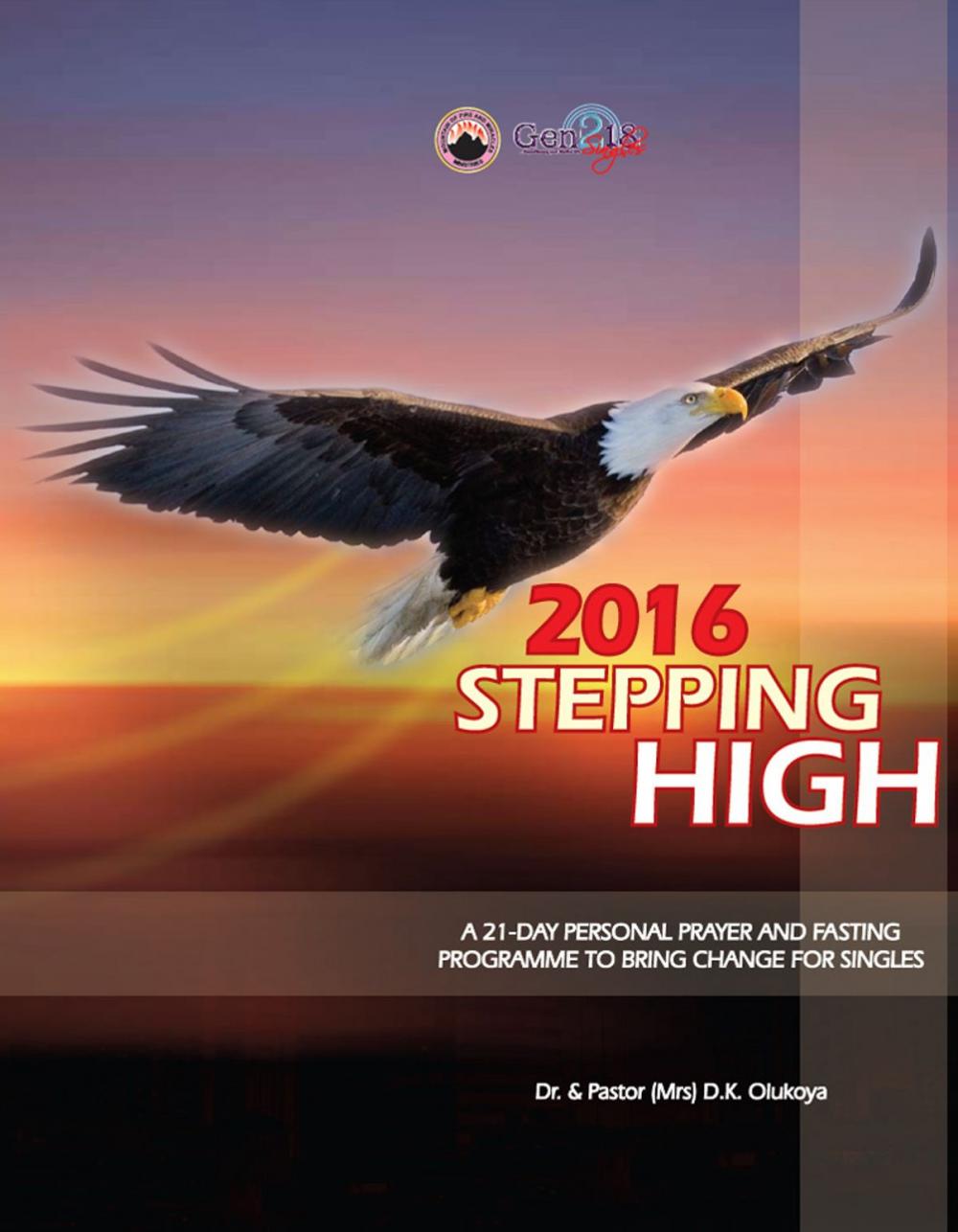 Big bigCover of 2016 Stepping High