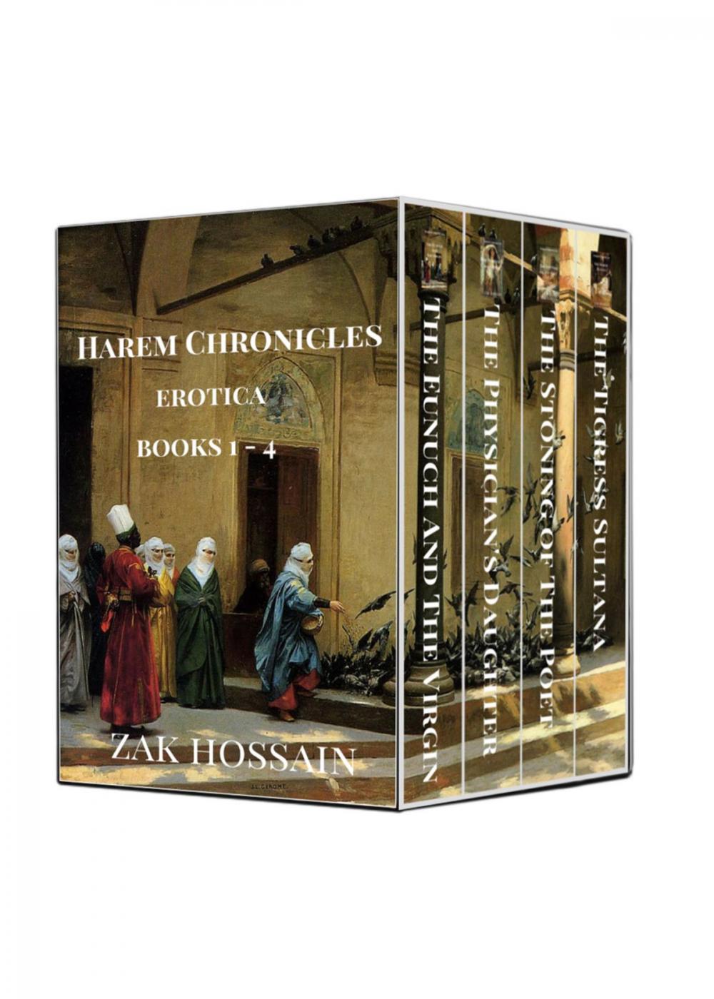 Big bigCover of Harem Chronicles Boxed Set 1-4