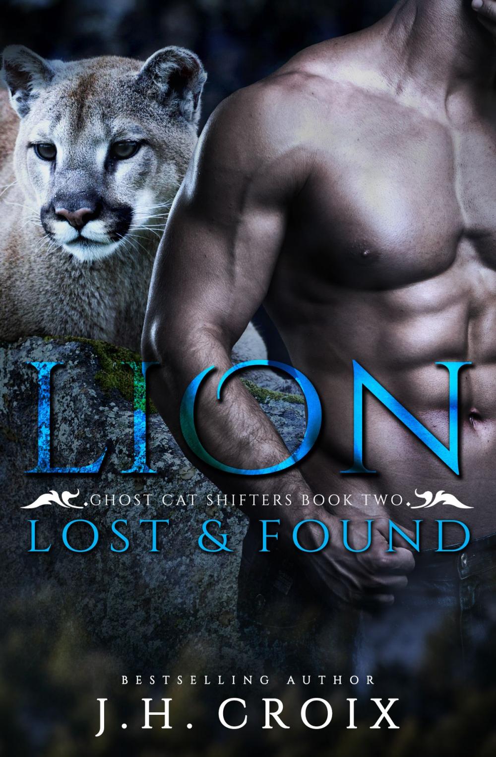 Big bigCover of Lion Lost & Found