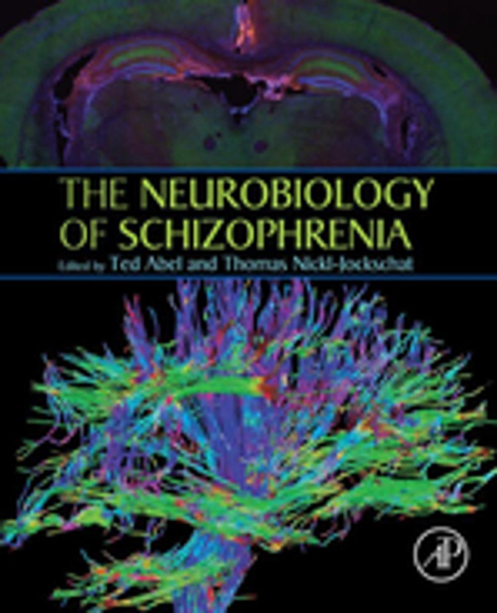 Big bigCover of The Neurobiology of Schizophrenia