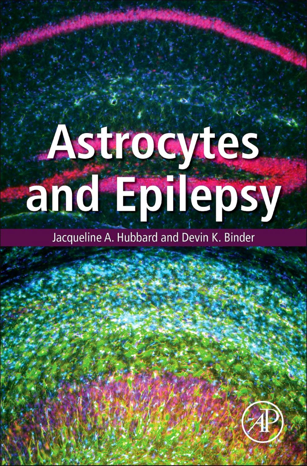 Big bigCover of Astrocytes and Epilepsy