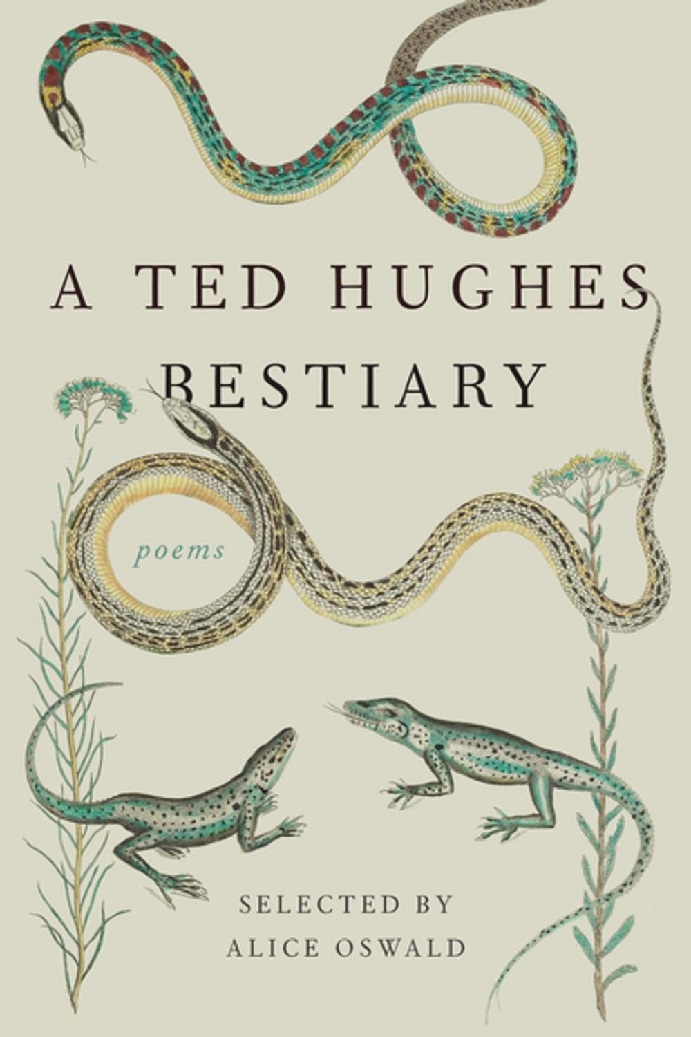 Big bigCover of A Ted Hughes Bestiary