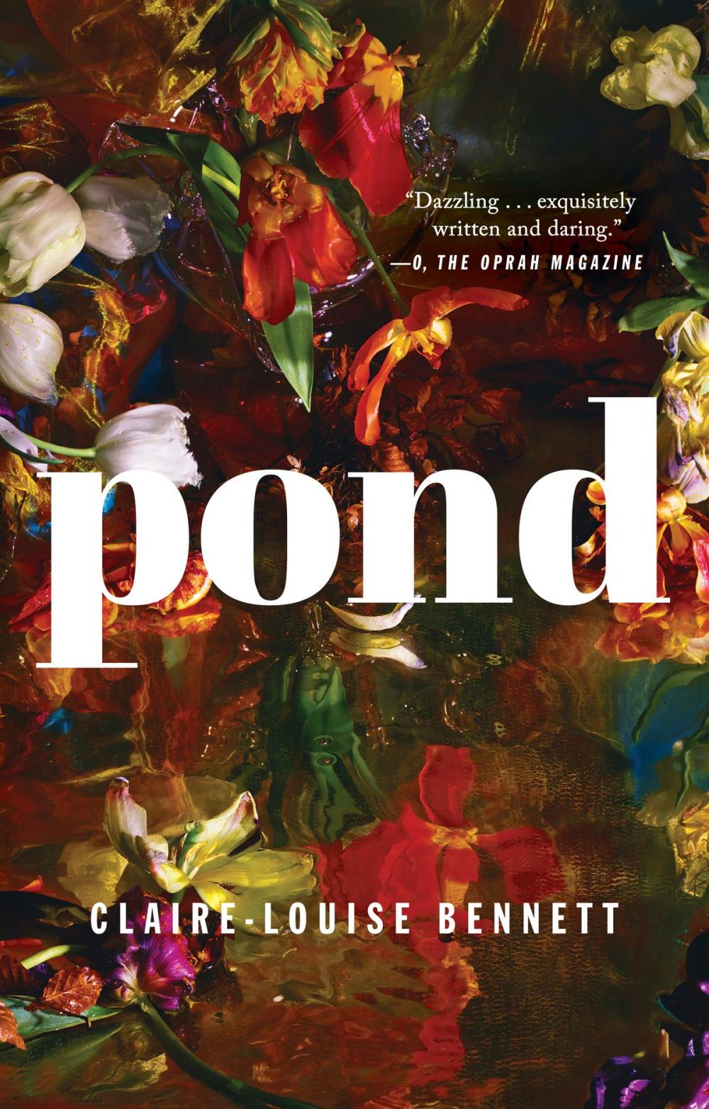 Big bigCover of Pond