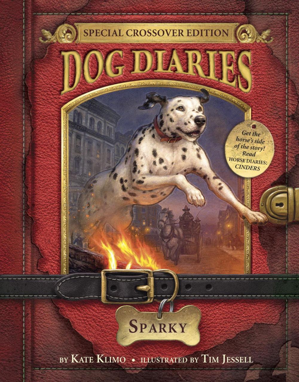 Big bigCover of Dog Diaries #9: Sparky (Dog Diaries Special Edition)