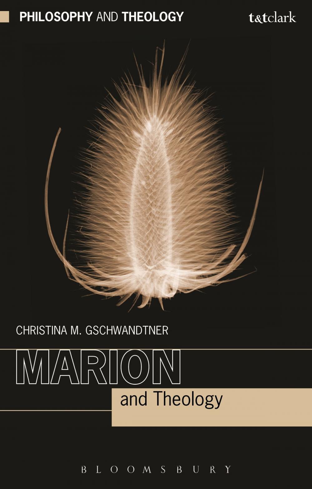 Big bigCover of Marion and Theology