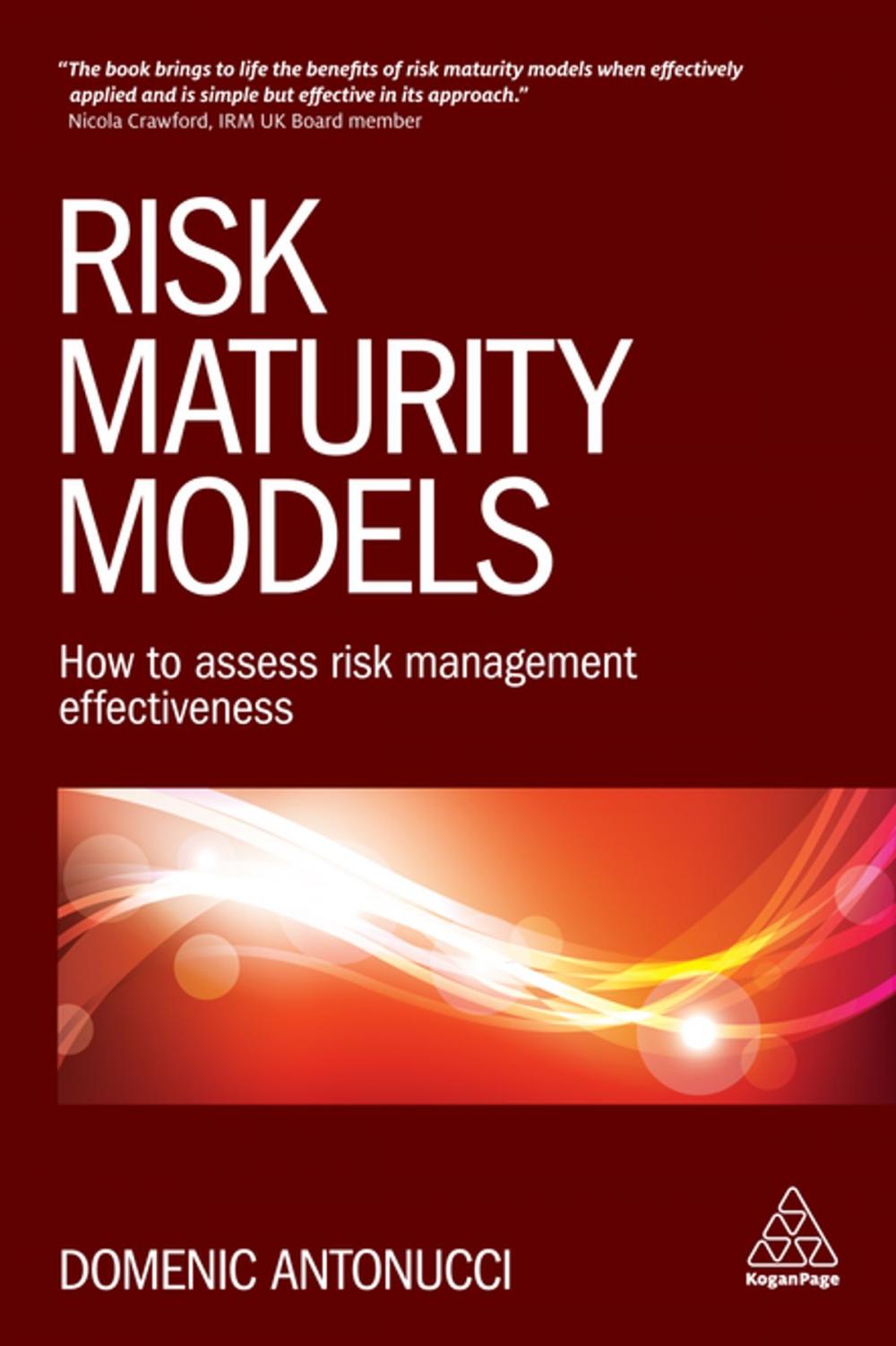 Big bigCover of Risk Maturity Models