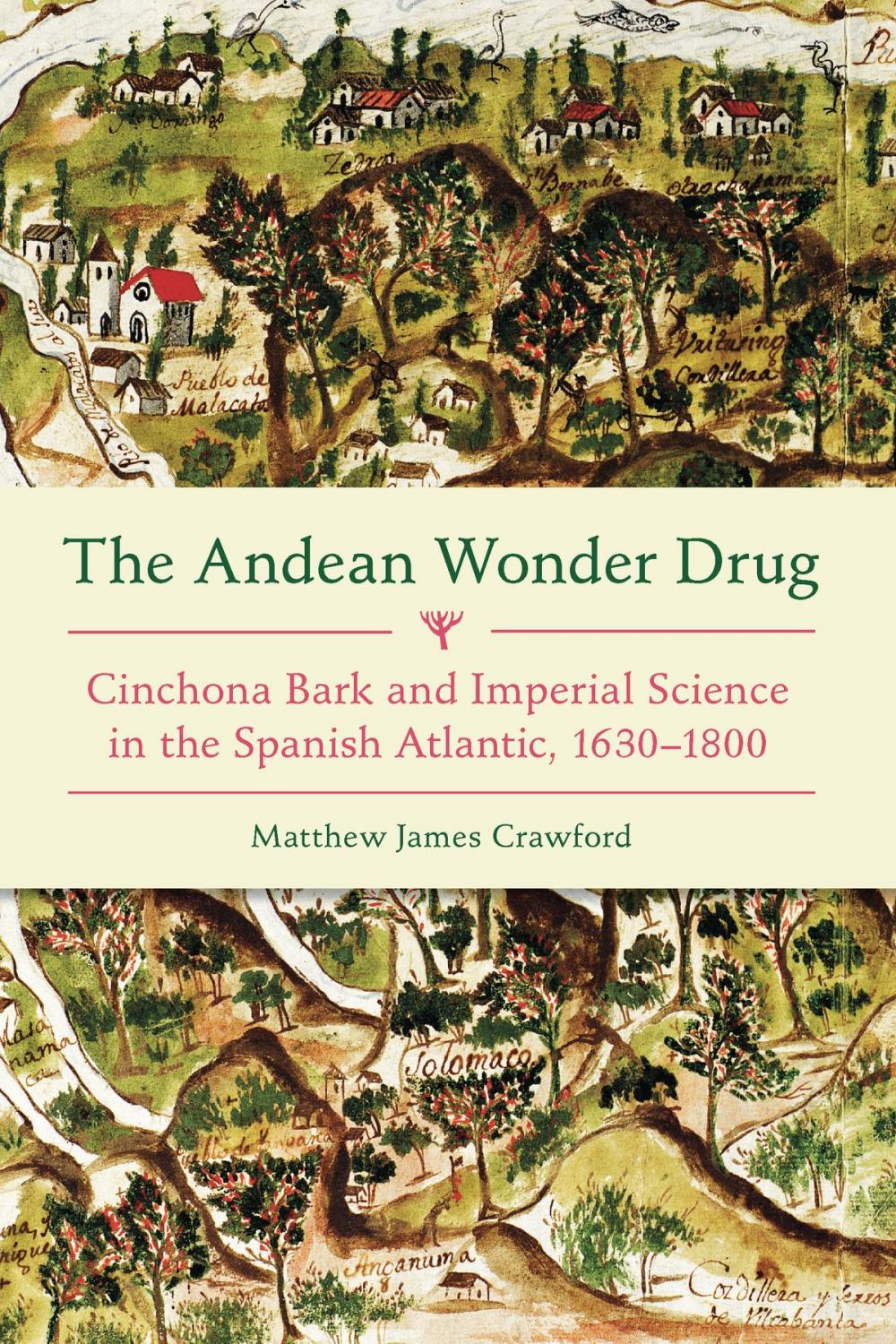 Big bigCover of The Andean Wonder Drug