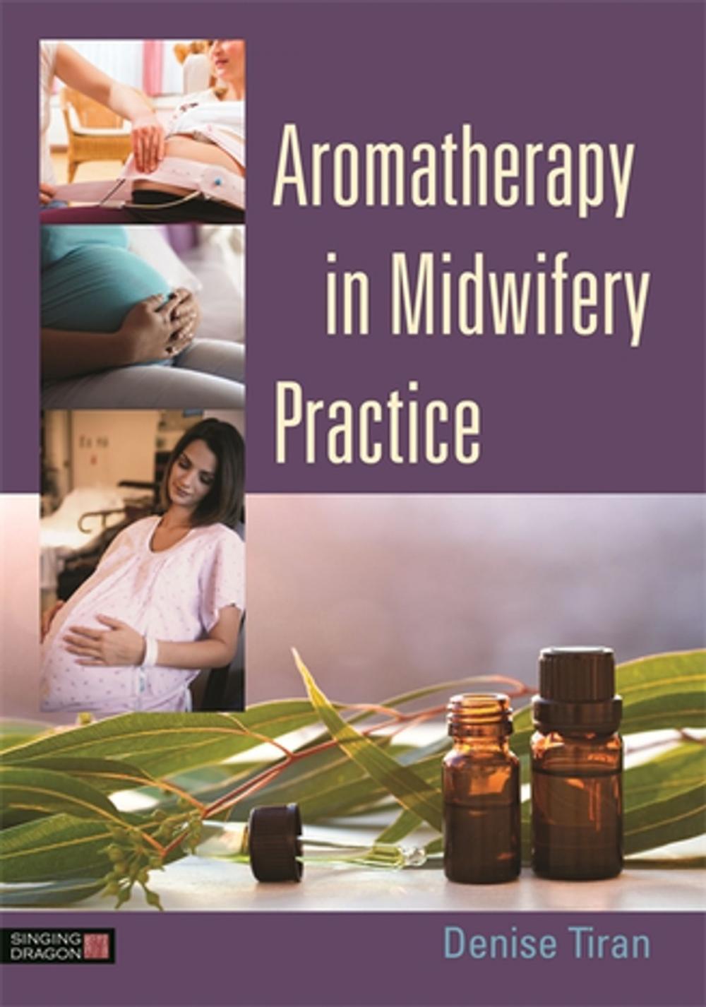 Big bigCover of Aromatherapy in Midwifery Practice