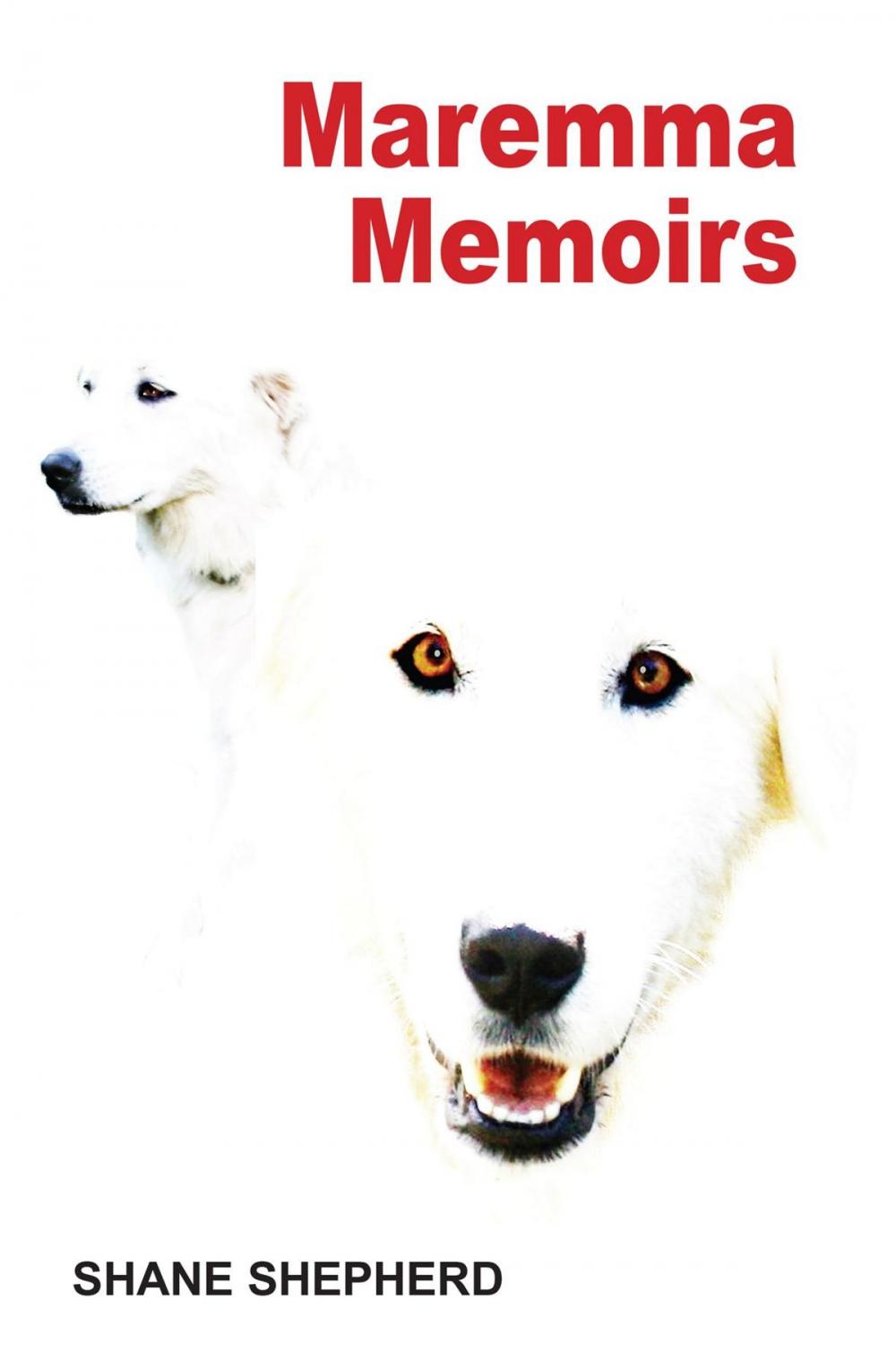 Big bigCover of Maremma Memoirs