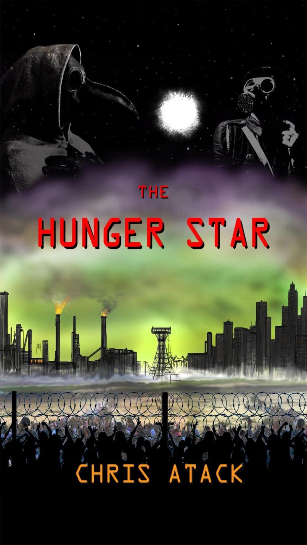 Big bigCover of The Hunger Star