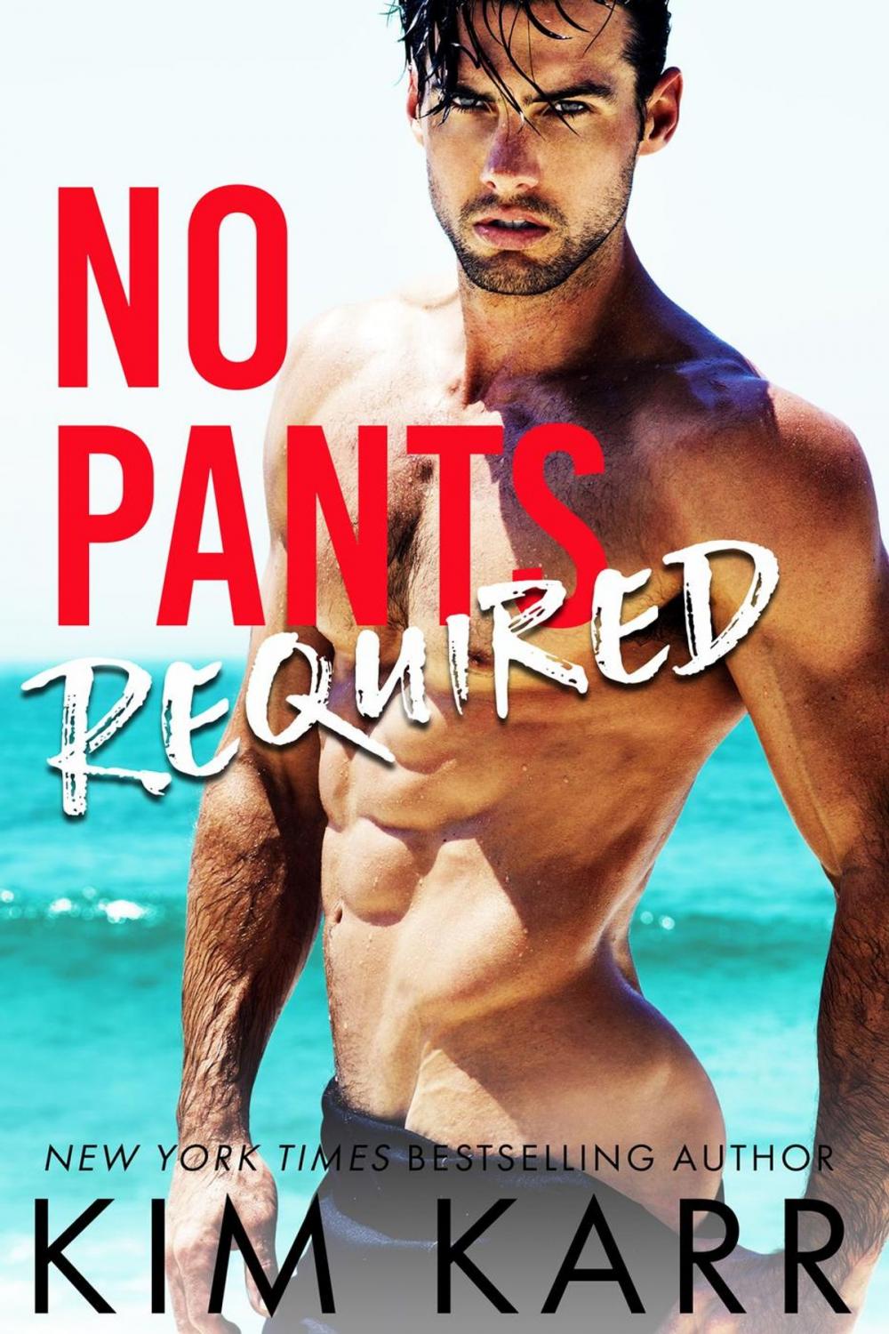 Big bigCover of No Pants Required